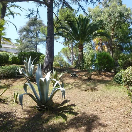 Nice-miramar And Parking 아파트 *