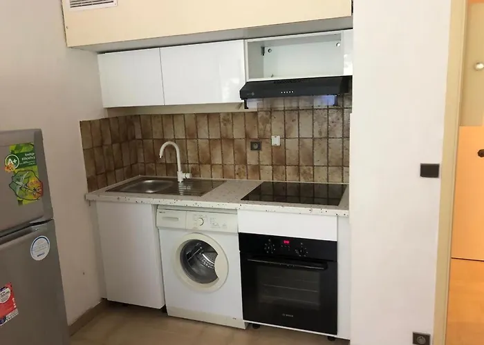 Nice-miramar And Parking דירה